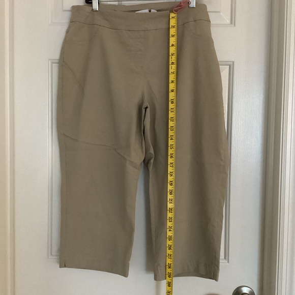 Kim Rogers Tan Capris - Picture 4 of 13